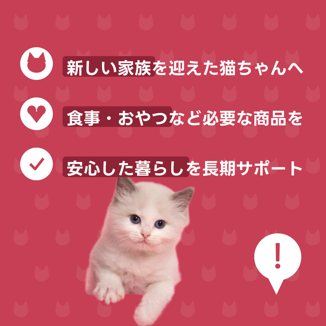 保護猫お届け便 説明