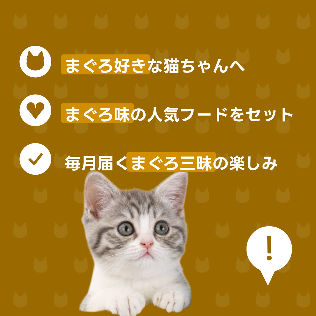 まぐろお届け便 説明
