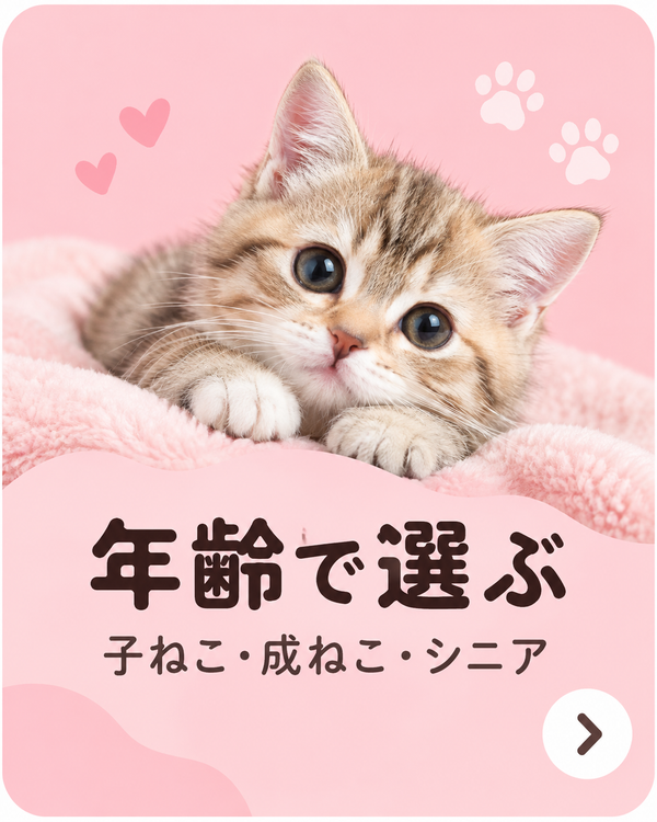 年齢で選ぶ 子ねこ・成ねこ・シニア