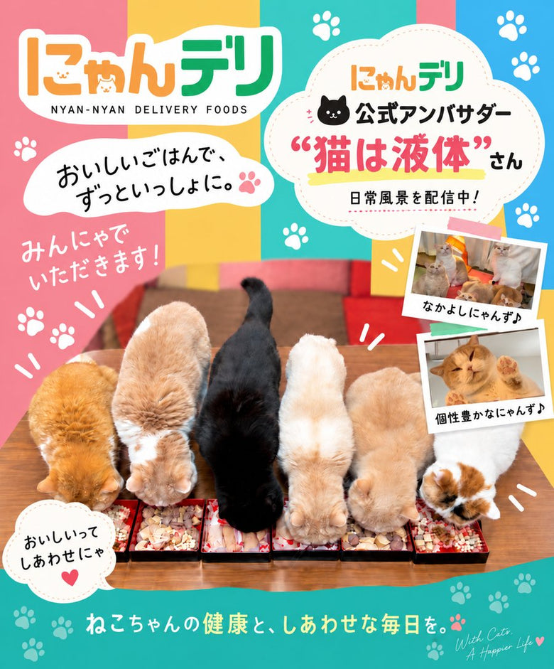 にゃんデリ公式アンバサダー「猫は液体」さん 日常風景を配信中！おいしいごはんで、ずっといっしょに。みんにゃでいただきます！ねこちゃんの健康と、しあわせな毎日を。