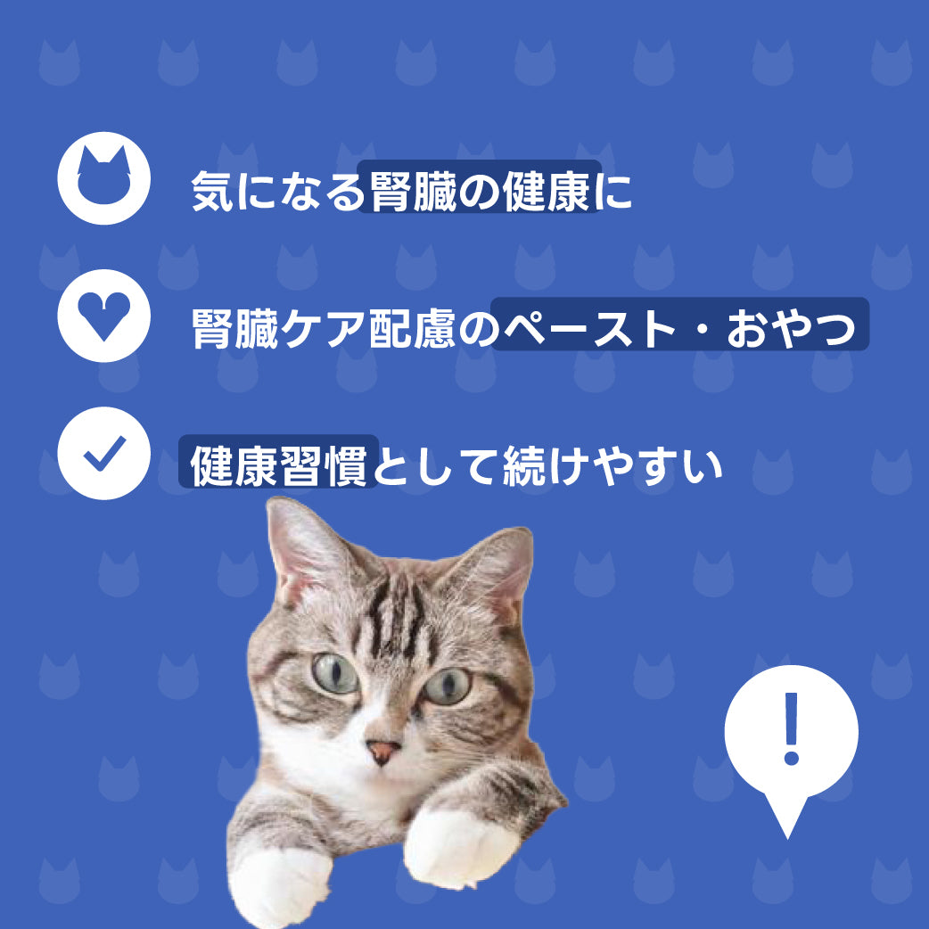 腎臓いたわりお届け便 説明