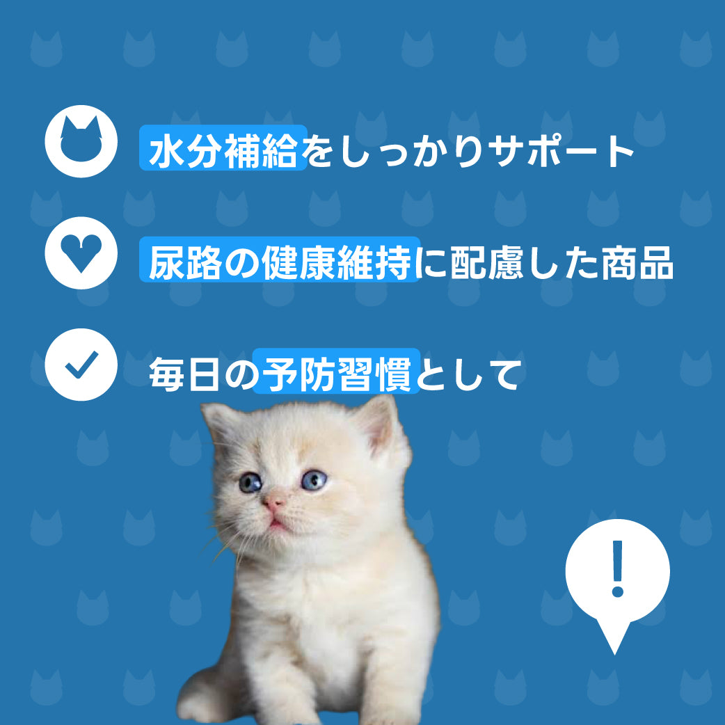 下部尿路お届け便 説明