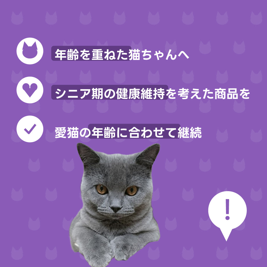 シニアお届け便 説明