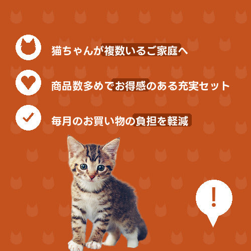 にゃんこ大家族たっぷり満足便（レギュラー）