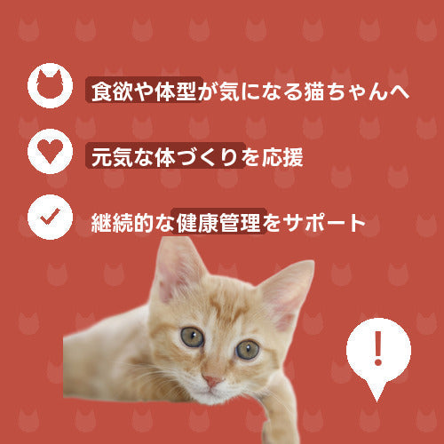 にゃんこふっくら元気チャージ便（DX）