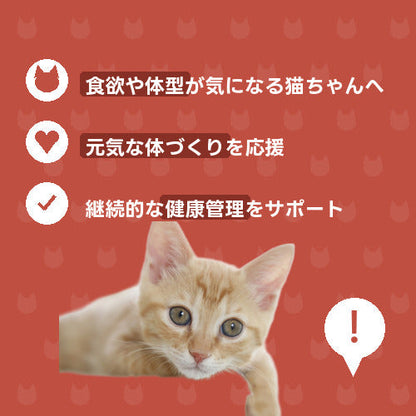にゃんこふっくら元気チャージ便（DX）