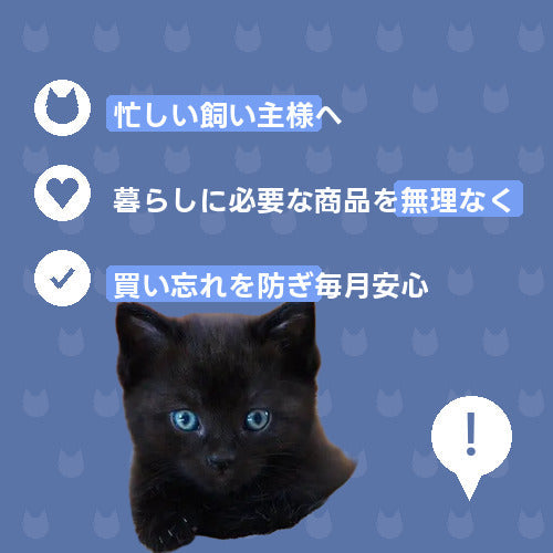 にゃんこ一人暮らし応援便（レギュラー）