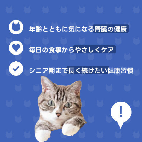 にゃんこ腎臓いたわりケア便（DX）