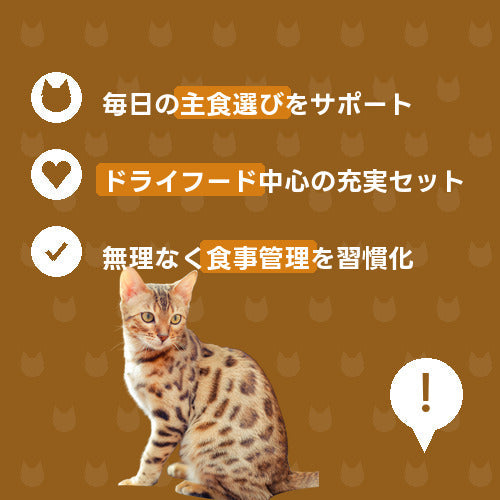 にゃんこカリカリごはん充実便（レギュラー）