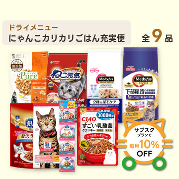 にゃんこカリカリごはん充実便（レギュラー）