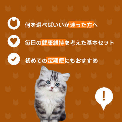 にゃんこ毎日元気スタンダード便（レギュラー）