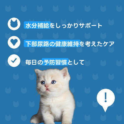 にゃんこおしっこ健康守り便（DX）