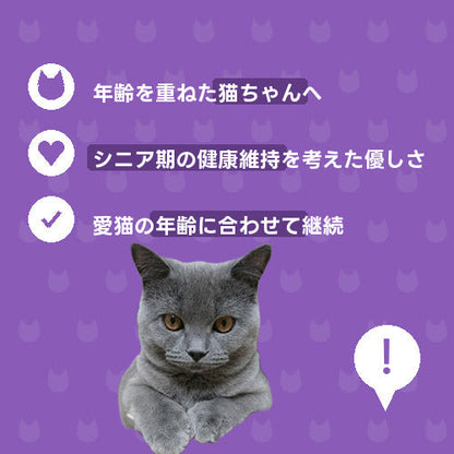 シニアにゃんこ安心いたわり便（DX）