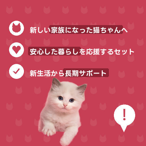にゃんこ幸せ生活スタート便（DX）