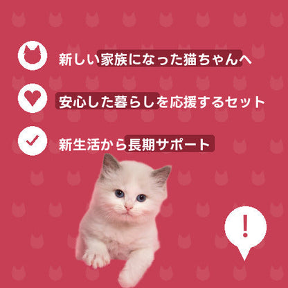 にゃんこ幸せ生活スタート便（DX）