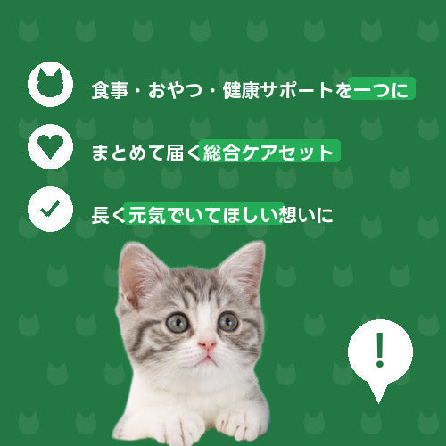 にゃんこずっと元気応援便（レギュラー）